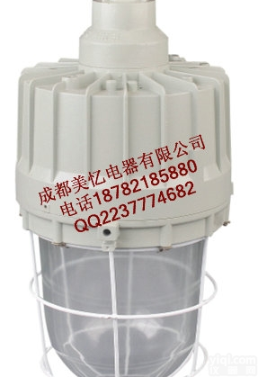 BAD61系列<em>一体式</em><em>防爆灯</em>，<em>一体式</em>防爆金卤灯