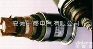 变频器<em>回路</em>专<em>用电</em>力电缆