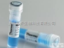 <em>Anti-Collagen IV抗体,IV型胶原蛋白/4型胶原蛋白/胶</em>...