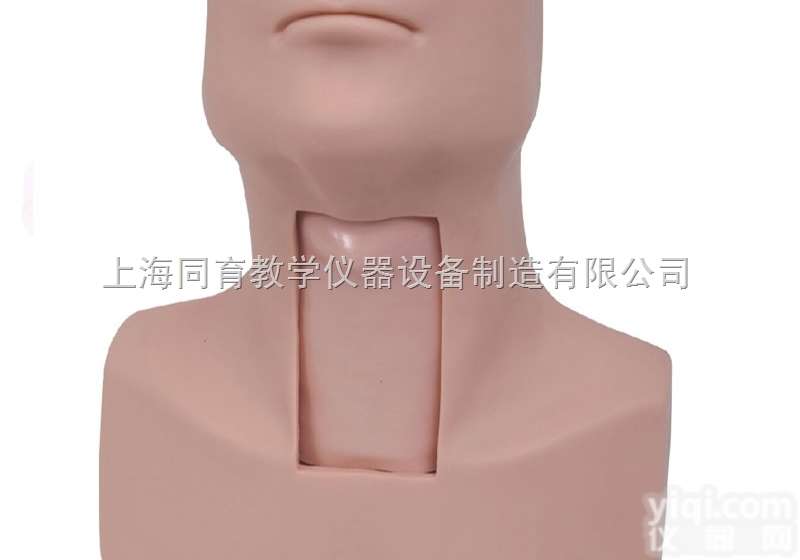 KAT/58  高级环甲膜穿刺及<em>气管</em>切开<em>插管</em>训练<em>模型</em>|急救专业技能训练<em>模型</em>