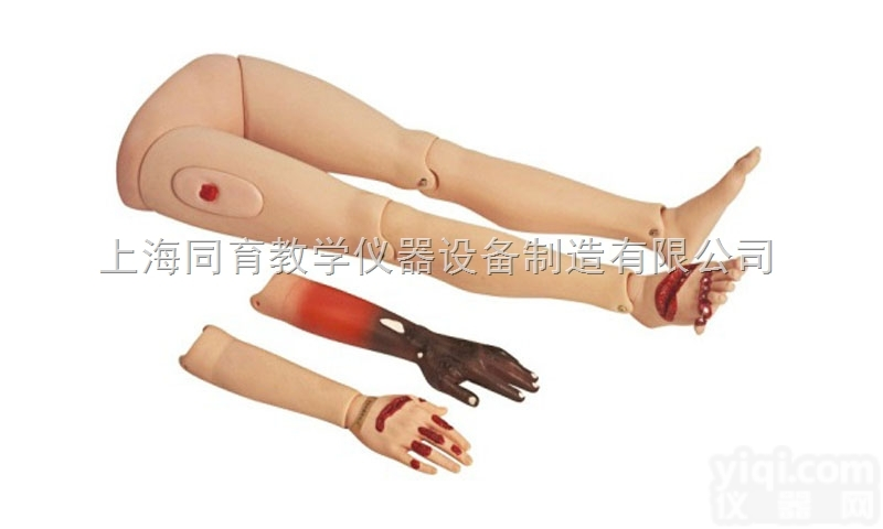 KAT/G110-4  高级<em>创伤</em>四肢<em>模型</em>|<em>急救</em>专业技能训练<em>模型</em>