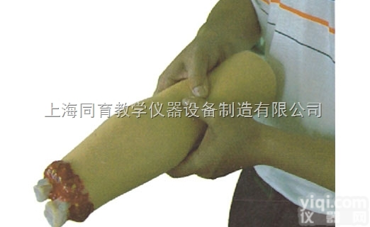 KAT/H2008  上肢外伤<em>断肢</em><em>止血</em><em>模型</em>|急救专业技能训练<em>模型</em>