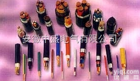 变频<em>器用</em><em>电力电缆</em>