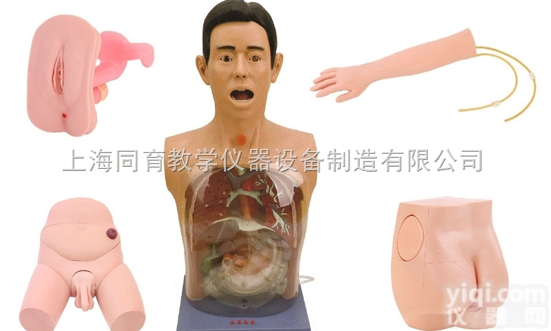 KAT/A 豪华型基础<em>护理模型</em>|护理专业技能训练模型