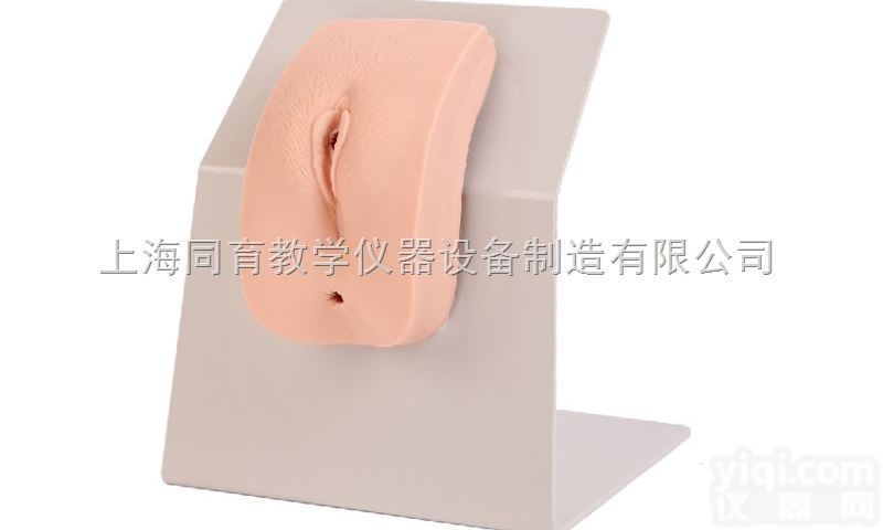 KAT/H18F <em>高级着装式女性导尿模型</em>|护理专业技能训练模型