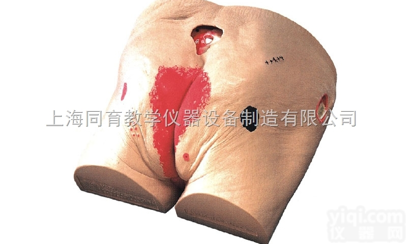 KAT/H90E 高级<em>褥疮</em><em>护理模型</em>|护理专业技能训练模型