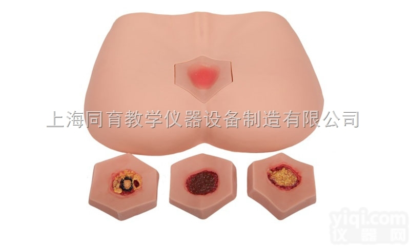 KAT/H90F 阶段<em>褥疮</em><em>护理模型</em>|护理专业技能训练模型