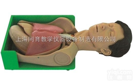 KAT/H375001 <em>透明洗胃、胃肠减压仿真标准化病人</em>|护理专业技能...