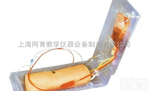 KAT/HS5G 高级肘部静脉穿刺训练<em>模型</em>|<em>中医专科</em>医学训练<em>模型</em>