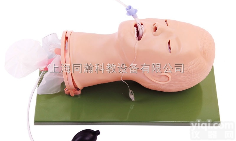 TAH/51  高级多功能<em>气道</em>管理<em>模型</em><em>急救</em>专业技能训练<em>模型</em>
