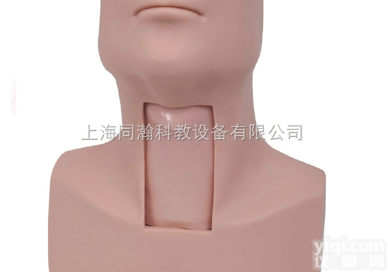 TAH/58  高级环甲膜穿刺及<em>气管</em>切开<em>插管</em>训练<em>模型</em>急救专业技能训练<em>模型</em>