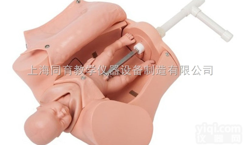 KAT/5B 高级手摇<em>分娩</em>综合<em>技能</em>训练<em>模型</em>|妇幼专科<em>技能</em>训练<em>模型</em>