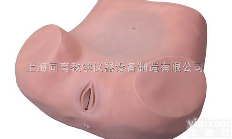 KAT/F51 阴道后穹窿穿刺模型|<em>妇幼专科技能训练模型</em>