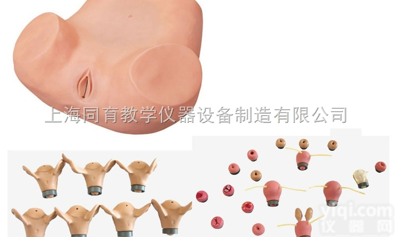 KAT/F35 高级妇科综合检查训练模型|<em>妇幼专科技能训练模型</em>