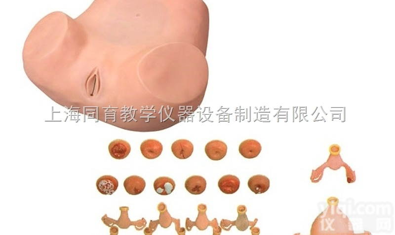 KAT/F30S 高级妇科检查模型|<em>妇幼专科技能训练模型</em>