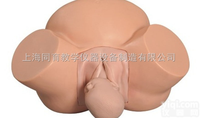 KAT/F8 高级助产训练模型|<em>妇幼专科技能训练模型</em>