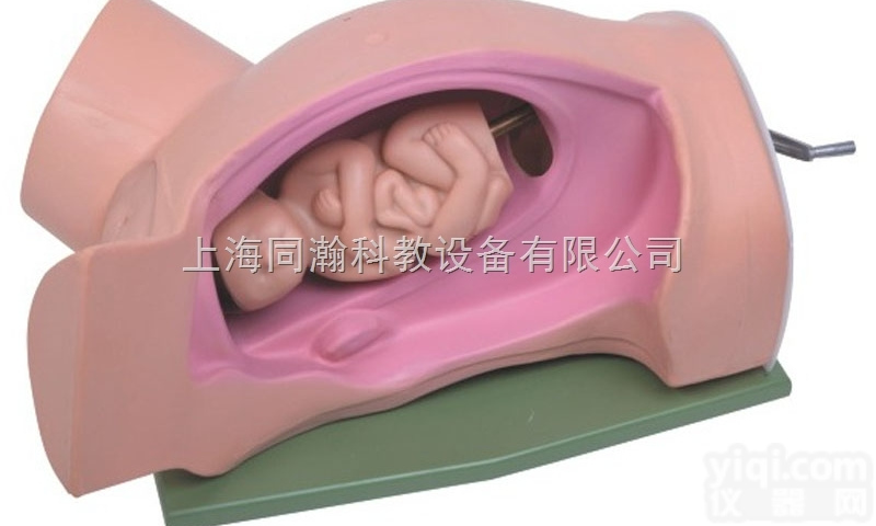 TAH/5  <em>分娩</em>机转示教<em>模型</em><em>妇婴</em>技能训练<em>模型</em>