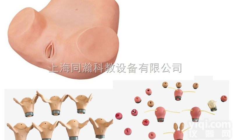 TAH/F35  高级妇科综合检查<em>训练</em>模型<em>妇婴</em>技能<em>训练</em>模型