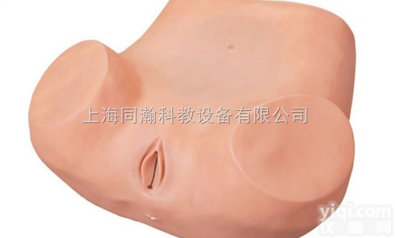 TAH/6  高级妇科<em>训练</em>模型<em>妇婴</em>技能<em>训练</em>模型