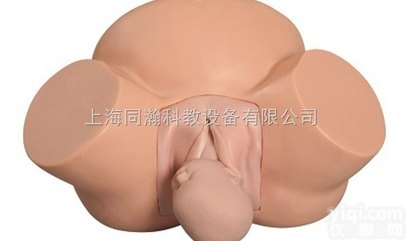 TAH/8  高级<em>助产</em><em>训练</em><em>模型</em>妇婴技能<em>训练</em><em>模型</em>