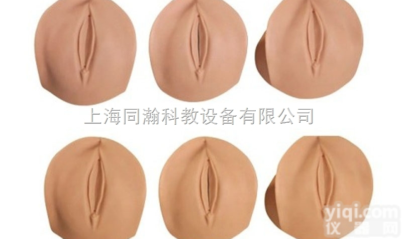 TAH/9  产前<em>宫颈</em>变化与产道关系模型<em>妇婴</em>技能训练模型