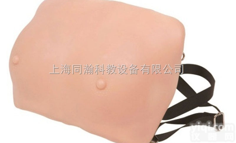 TAH/14  高级<em>乳房</em>检查模型<em>妇婴</em>技能训练模型