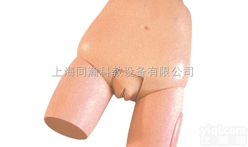 TAH/31  高级<em>子宫</em>底检查<em>评定</em><em>模型</em>妇婴技能训练<em>模型</em>