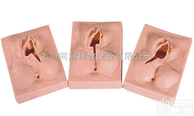 TAH/H  高级外阴<em>缝合</em>练习模型<em>妇婴</em>技能训练模型
