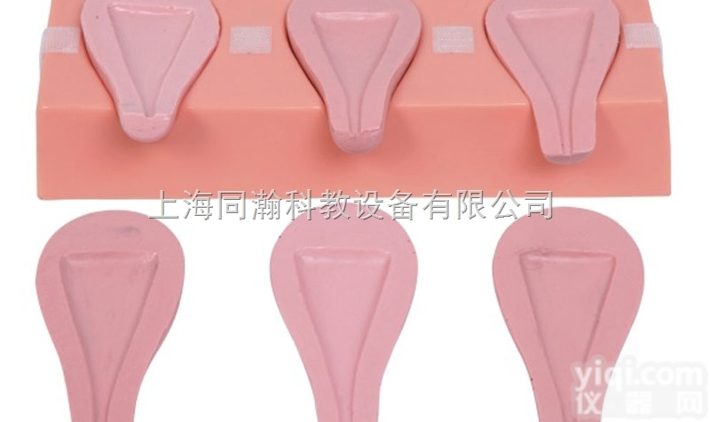 TAH/T33A  高级人工流产模拟<em>子宫</em><em>妇婴</em>技能训练<em>模型</em>