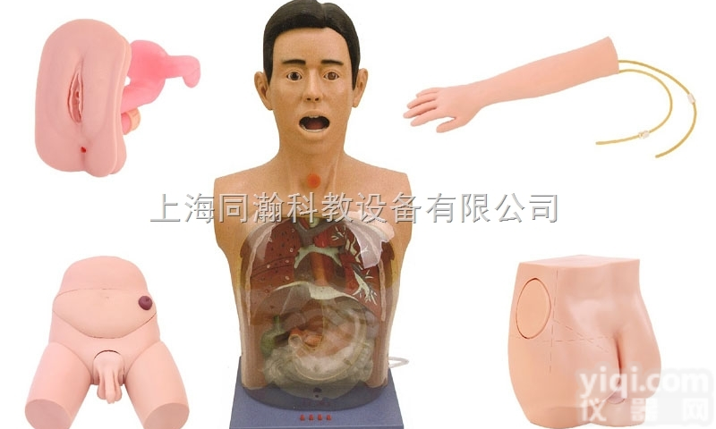 TAH/A  豪华型基础<em>护理模型</em>护理专业技能训练模型