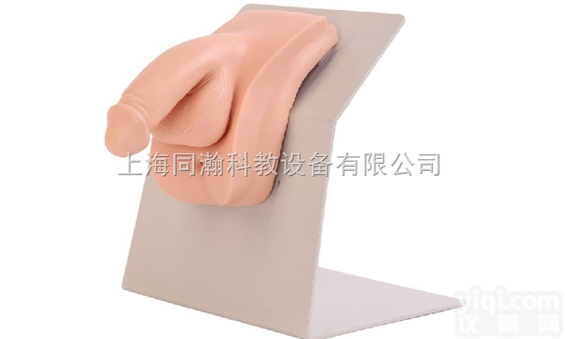 TAH/28E  高级<em>着装</em>式男性<em>导尿</em><em>模型</em>护理专业技能训练<em>模型</em>