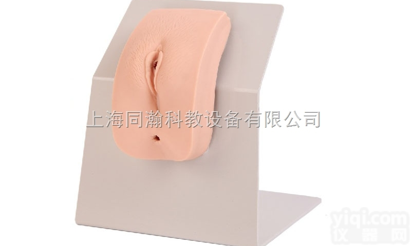 TAH/28F  <em>高级着装式女性导尿模型</em>护理专业技能训练模型