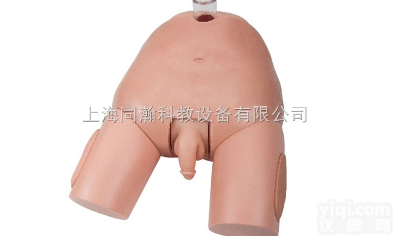 TAH/29E  高级<em>男性</em><em>膀胱</em>穿刺<em>模型</em>护理专业技能训练<em>模型</em>