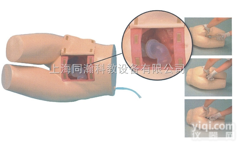 TAH/15  高级<em>灌肠</em>和辅助<em>排便</em>训练<em>模型</em>护理专业技能训练<em>模型</em>