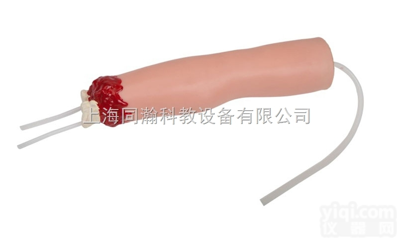 TAH/H2008  上肢外伤<em>断肢</em><em>止血</em><em>模型</em>护理专业技能训练<em>模型</em>