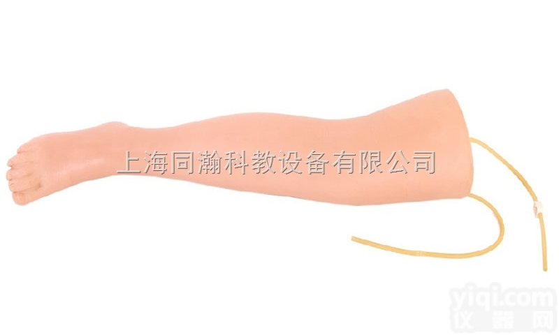 TAH/S16  高级<em>静脉</em>输液腿<em>模型</em>护理专业技能训练<em>模型</em>