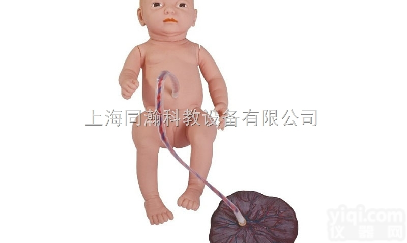 TAH/132  高级<em>新生儿</em><em>脐带</em>胎盘<em>护理模型</em>妇婴技能训练模型