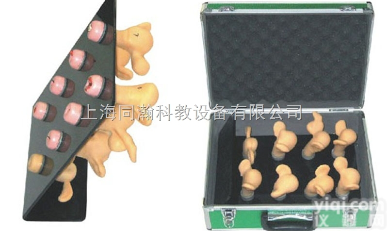 TAH/ZG  高级<em>子宫</em><em>宫颈</em>病变<em>模型</em>（8件）妇婴技能训练<em>模型</em>