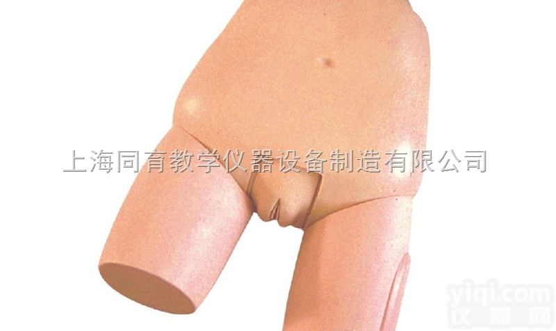 KAT/F31 高级<em>子宫</em>底检查<em>评定</em><em>模型</em>|妇幼专科技能训练<em>模型</em>