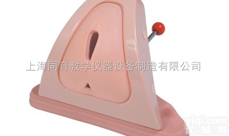 KAT/F3A 高级会阴切开缝合技能训练模型|<em>妇幼专科技能训练模型</em>