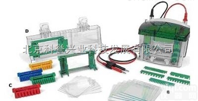 Mini-PROTEAN Tetra<em>伯乐</em><em>电泳槽</em>