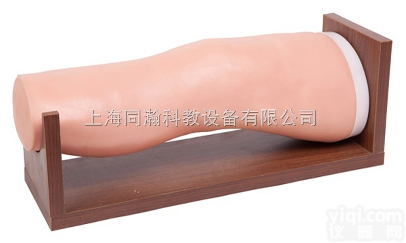 TAH/L72  <em>膝关节</em>腔内注射<em>模型</em>临床医学诊断专科<em>模型</em>