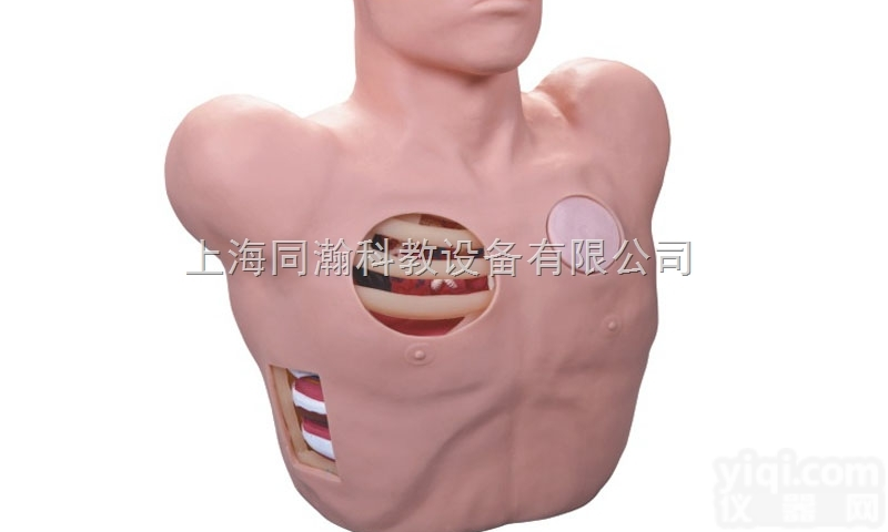 TAH/L66  <em>胸腔穿刺引流模型</em>临床医学诊断专科模型