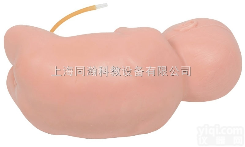TAH/L60A  新生儿<em>腰椎</em><em>穿刺</em><em>模型</em>妇婴技能训练<em>模型</em>