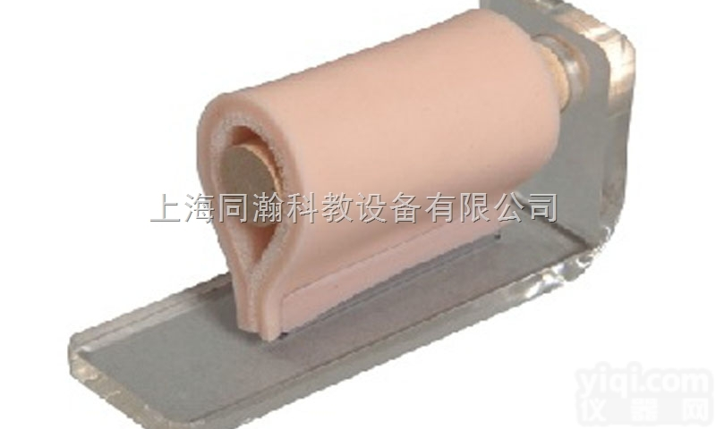 TAH/LV4-2  环行局部浸润麻醉训练<em>模块</em><em>临床</em>医学诊断<em>专科</em>模型