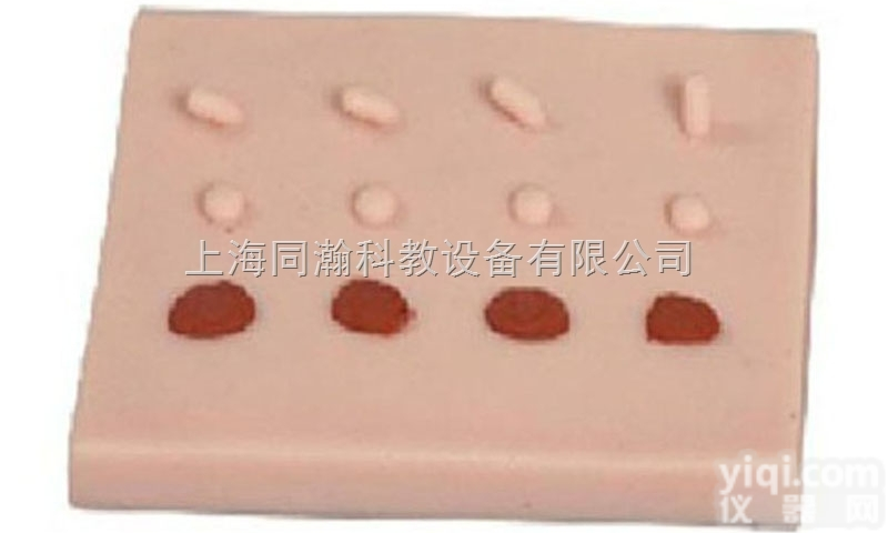 TAH/LV5-3  表皮常见病变处理训练<em>模块</em><em>临床</em>医学诊断<em>专科</em>模型