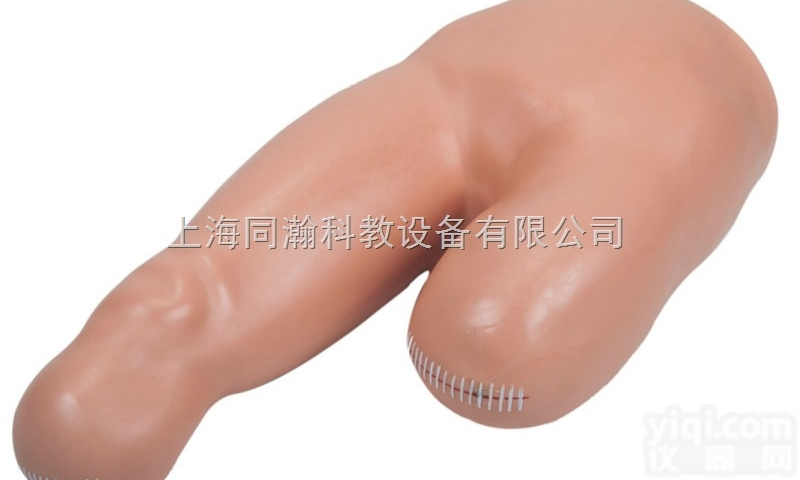 TAH/LV12  高级低位<em>包扎</em><em>模型</em>临床医学诊断专科<em>模型</em>