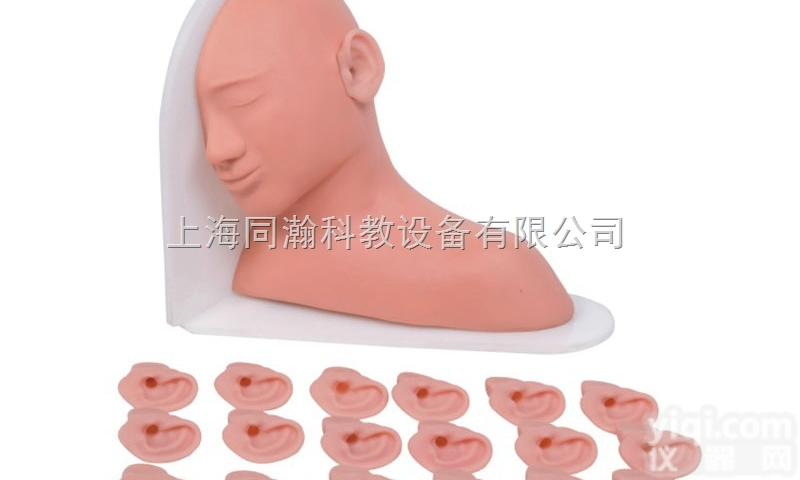 TAH/LV16  <em>高级耳部检查模型</em>临床医学诊断专科模型