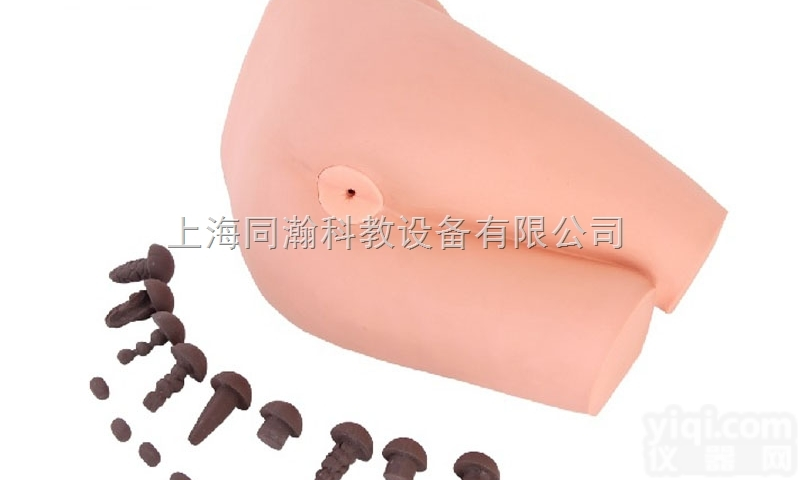 TAH/LV39A  <em>直肠</em>检查操作<em>模型</em><em>临床</em>医学诊断专科<em>模型</em>