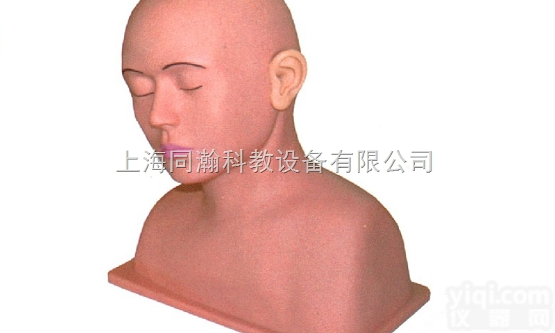 TAH/LV40  高级耳冲洗训练<em>模型</em><em>临床医学</em><em>诊断</em>专科<em>模型</em>